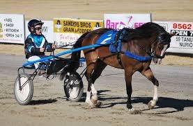 SATURDAY SHOW TROTS The first race will commence immediately following the Grand Parade with a further four races being held throughout the afternoon and evening in conjunction with other programmed