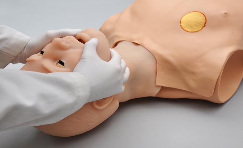 Airway NASAL AND ORAL INTUBATION HAL allows for realistic jaw thrust, head tilt and chin lift.