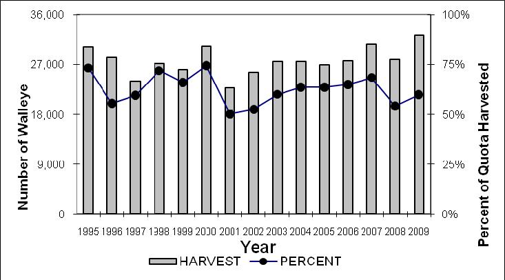 Figure. Number of walleye and percent of quota harvested during spring spearing seasons from -. Mean Length. A total of, walleye (% of the catch) was measured in (Appendix C and D).