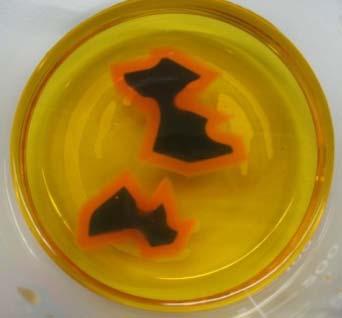 To determine how, design a simple experiment with the following materials: agar cube stained with bromothymol