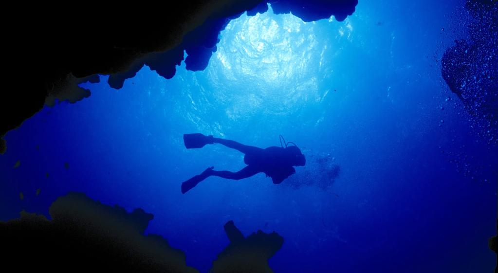 10 days prior to your trip, you and the dive center will receive