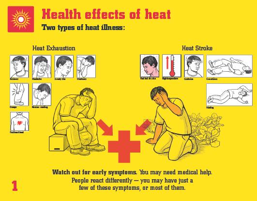 heat, illness, common signs and symptoms; and appropriate first