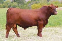 if put in by a Certified Technician 66 1 Package of 4 Embryos - - 6-2.7 65 112 24 5 15-1 14 0.37-0.00 33 0.34 0.