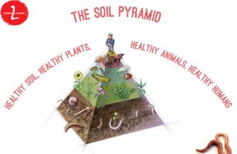 They make healthy soil that we can use to grow food - we need worms to grow fruit and vegetables