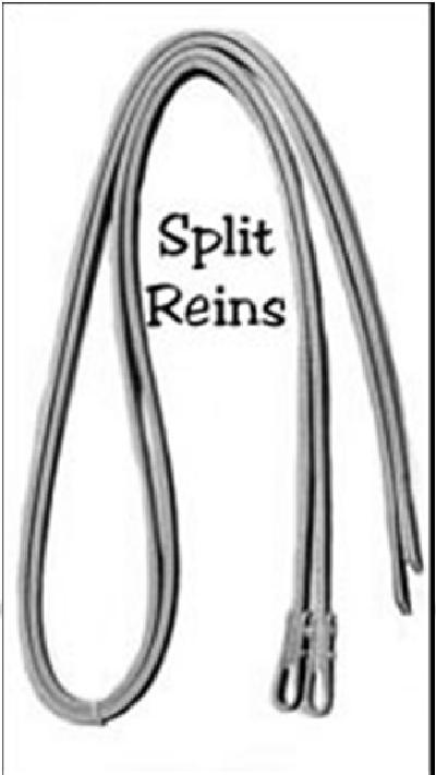 (used with a bosal) Split reins are the most commonly seen rein CHIN STRAPS straps