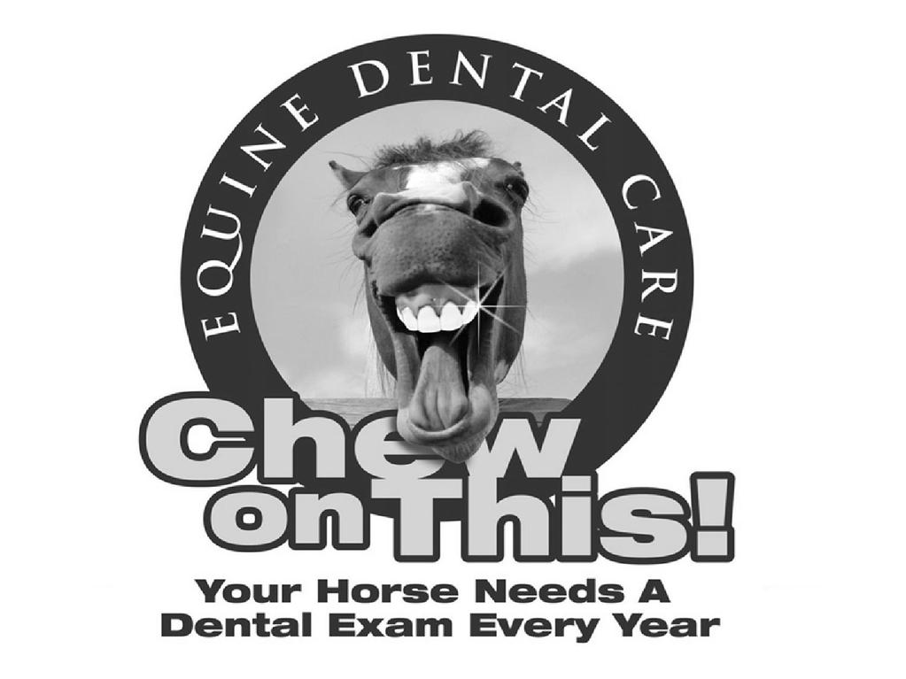 WHY IS IT IMPORTANT FOR MY HORSE TO HAVE REGULAR DENTAL EXAMINATIONS?