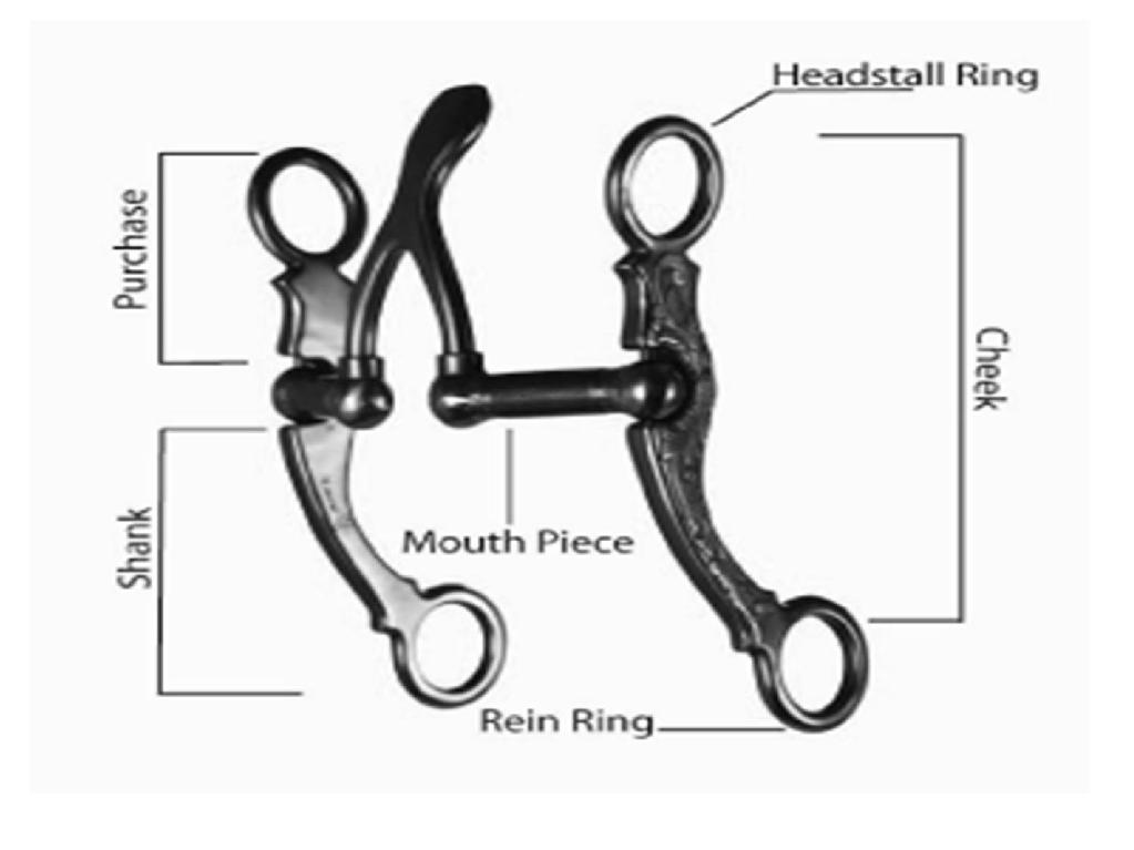 TYPES OF BITS & HEADGEAR Broad Categories: Snaffle (a bit without shanks)