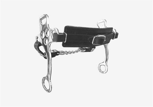 BITLESS Training (jaquima)- utilizes a Bosal nosepiece Mechanical Hackamore- nosepiece made of various materials, shanks and curb chain Side-pull similar