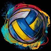 summer camps over 200 participants in its youth development programs Next Level Beach Volleyball club has