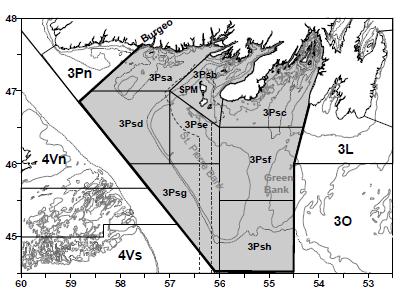 Thorny Skate in NAFO Subdivision 3Ps (Fig. 1) and adjacent Divisions 3LNO are considered to constitute a single stock. Life span of Thorny Skate in waters around the Island of Newfoundland is unknown.