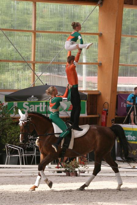 Vaulters compete regionally, nationally and worldwide as individuals, pairs ('pas de deux') and teams. Competitions are held over two rounds composed of compulsory and freestyle tests.