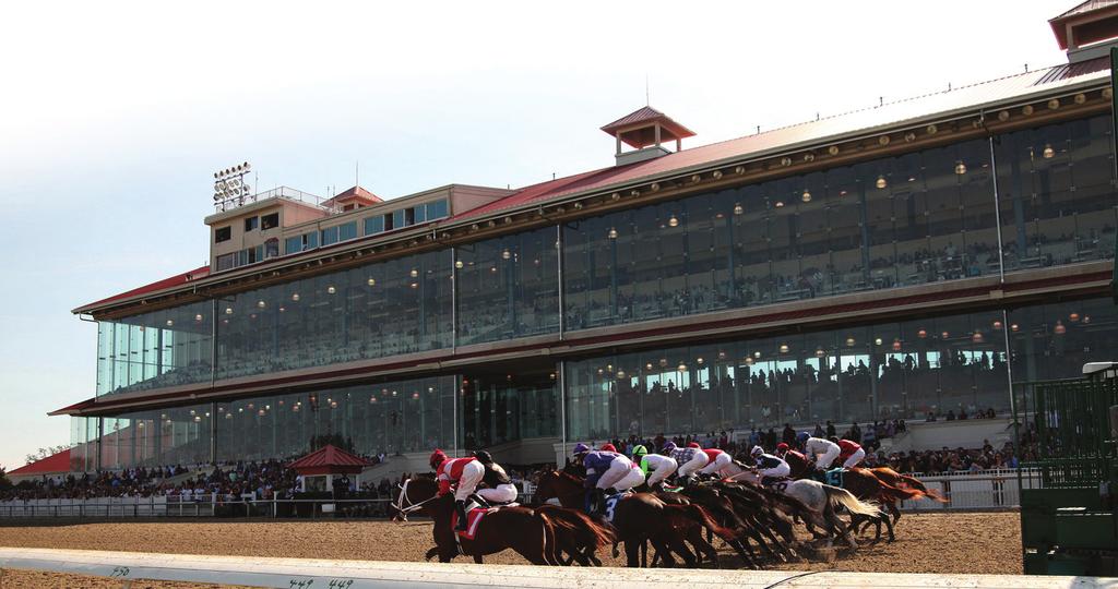 LOUISIANA DERBY HISTORICAL TRENDS by Alastair Bull Every year, the Louisiana Derby draws a competitive field.