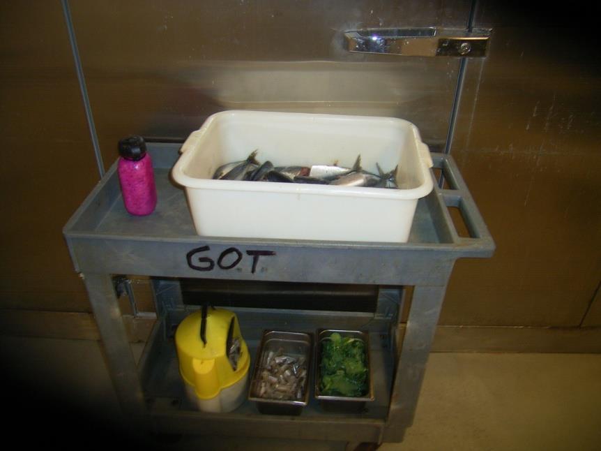 GOT Food Cart Use only the cart marked for GOT Cart must be cleaned at the end of the day Stored