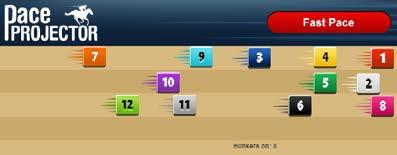 RACE 2 PACE PROJECTION Lexington Pace Projector US TimeformUS s Pace Projector uses an algorithm that takes pace figures, running style, and other factors into account to predict the pace at the