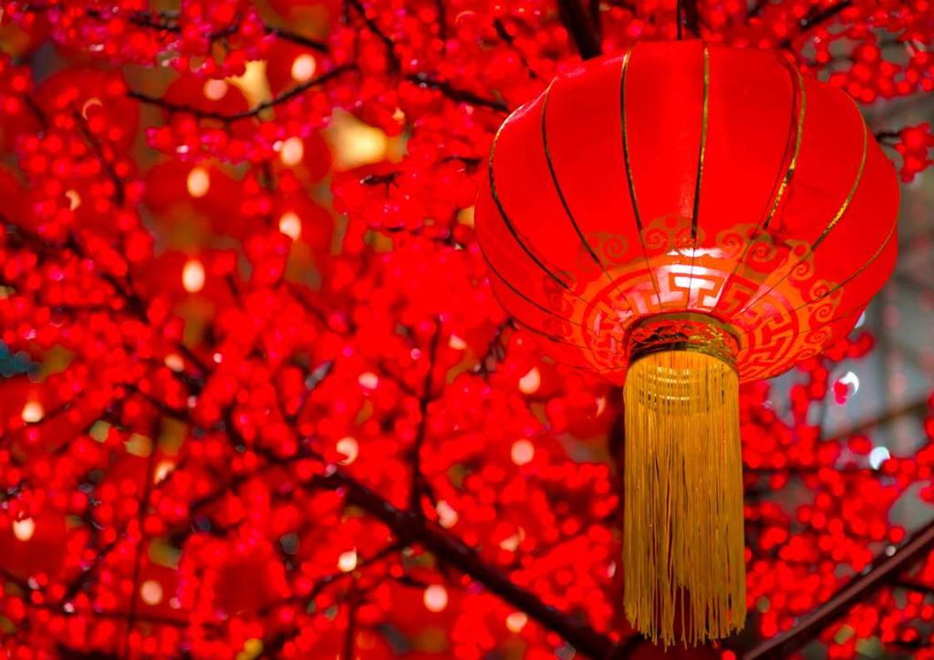 Open your fan out and immerse yourself in the magical atmosphere of Chinese New Year!