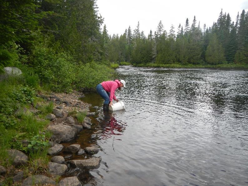 RESULTS Approximately 231,313 first-feeding Atlantic salmon fry were stocked into 80 sites in seven tributaries of the