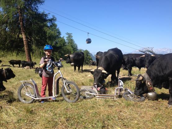 Fun (children from 8 years, teenagers, adults)proposes : Mountain bike tours with a guide, scooter descent, horse riding, activities