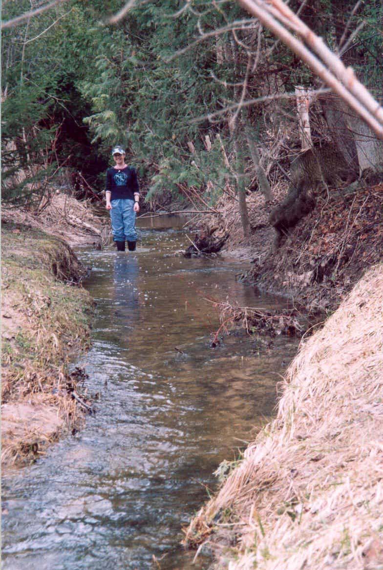 under the bridge on Albert Street. At right, Nikkie stands in the creek in early April 2004.