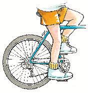 With both feet on the ground, you should be able to straddle the crossbar of the bicycle like this, with 2 to 5 cm (one to two inches) of clearance.