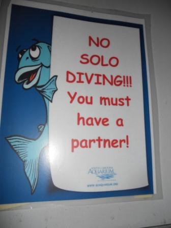Buddy System No solo diving is permitted in any exhibit