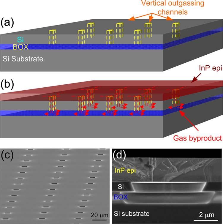 Nomaski-mode microscopic images of InP thin epitaxial layers transferred to the SOI substrate after 300 C annealing a for2hwithno outgassing channel; b for 15 h with no outgassing channel; c for 15 h