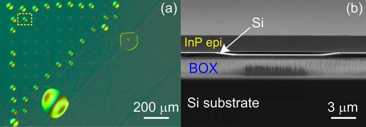 cleaved through the yellow dash-line box in a. FIG. 9. Nomaski-mode microscopic images of an InP-SOI bonded pair using another InP epitaxial wafer with relatively poorer bondability than that in Fig.