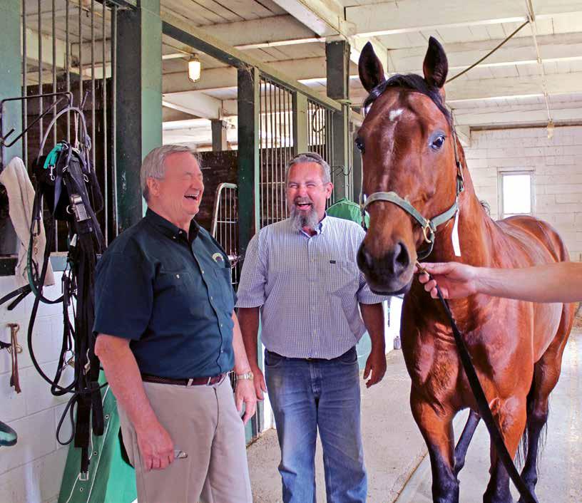 Winbak Farm has produced three Horse of the Year champions in the past 12 years: No Pan Intended (2003), Rainbow Blue (2004) and Muscle Hill (2009).