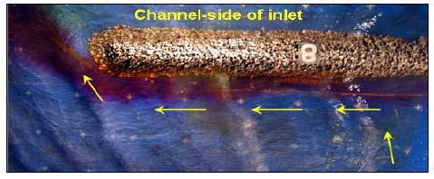 Current vectors produced by wave-generated current approaching a porous, wave absorbing jetty (left side) and a highly reflective