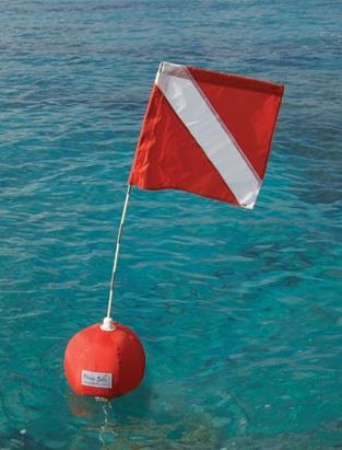 from dive flag