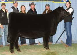 7 -.02 41.13.45 68 45 40 30 15 70 30 45-90 15 95 5 5 DUE 8.27.18 TO RIVERSTONE CROWN ROYAL (DP/DB) AUTO Madeline 447D is a daughter of the popular Angus sire, EXAR Blue Chip 1877B.