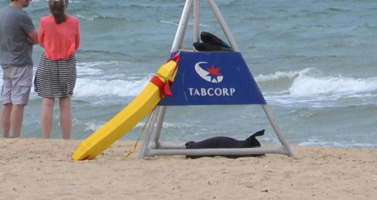 Lifesavers can also paddle out to the swimmer kneeling on a rescue board, which the swimmer can then grab