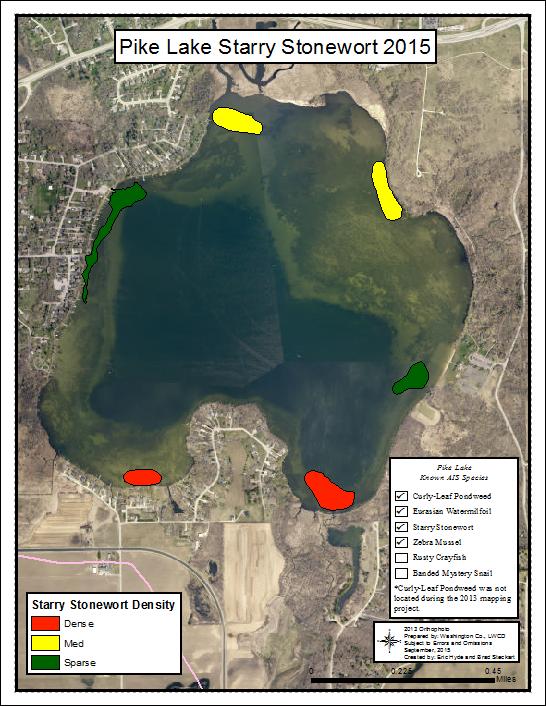 CBCW for 2016 Starry stonewort present in undisturbed areas around perimeter of lake Most dense population