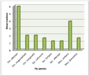340 Layla A.H. Al-Shareef and Mashel M.F. Almazyad, 2016 Fig. 1: Mean numbers of different fly species through all habitats Fig.