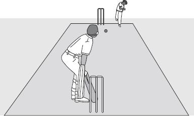 Q1. The picture shows players in a cricket match. (a) A fast bowler bowls the ball at 35 m/s. The ball has a mass of 0.16 kg.
