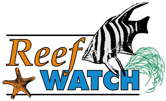 Reef Watch Fish Survey Manual Version 5 (4 th January, 2007) Reef Watch Community Monitoring Program Conservation Council of South Australia Inc.