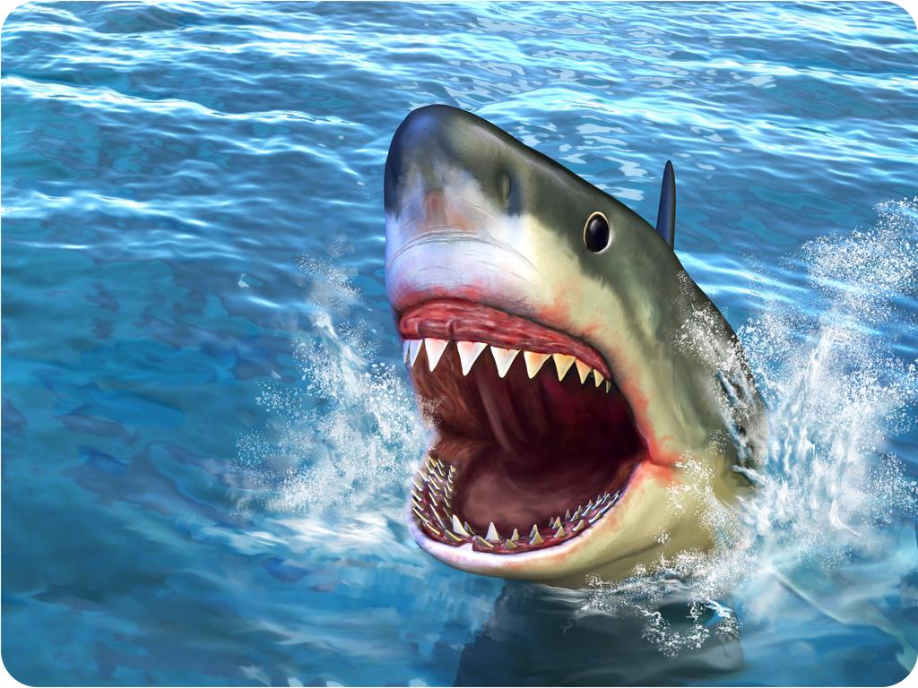 excellent predators. It you ve ever seen the film Jaws, then you know that jaws make sharks very fierce predators (see also Figure below).