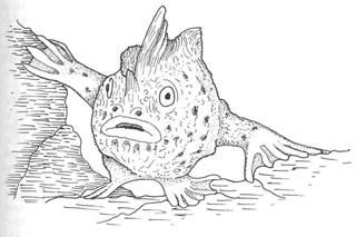 Frog Fish, a modern