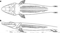 Late Devonian of