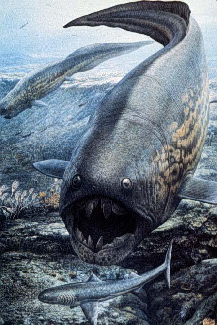 The extinct placoderms were