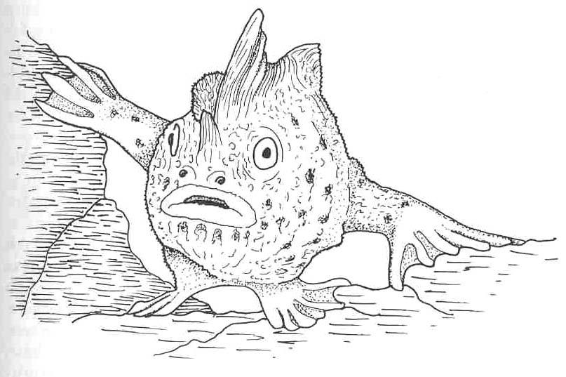 A Frog Fish, a modern
