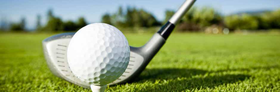 SYCAMORE CREEK AND PINE HOLLOW PTA GOLF OUTING FUNDRAISER! Saturday, April 22nd TIME: Registration and lunch at 12:00.