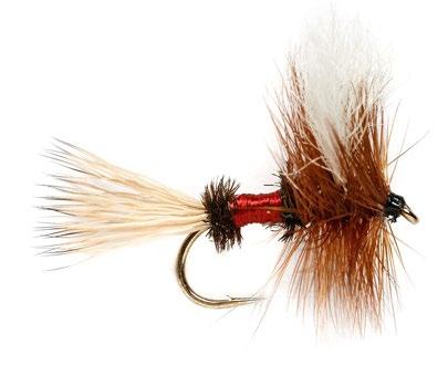 SELECTED FROM $49 FLY LINES SHOP