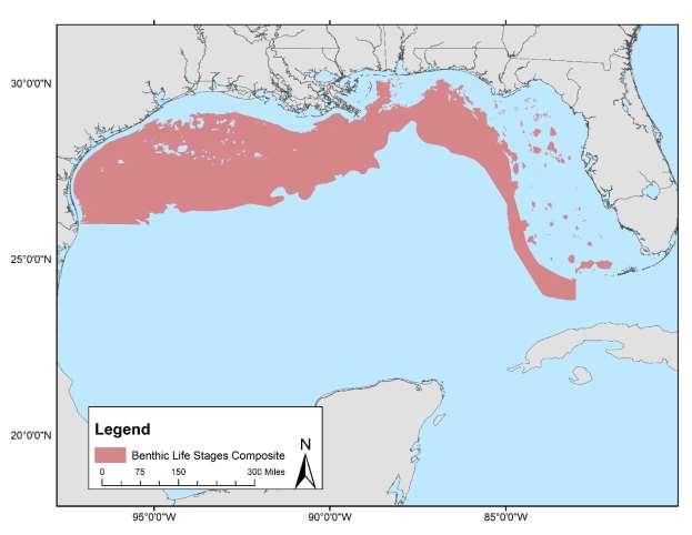 Figure 51. Map of benthic habitat use by all life stages of tilefish.