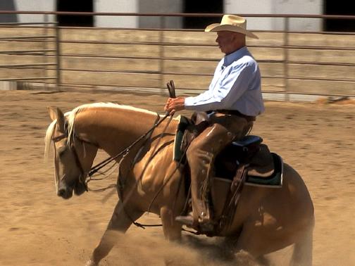 My first year in business, I finished the year as the AQHA Reserve World Champion in cutting. I also made the finals at two big west coast Futurities that year.