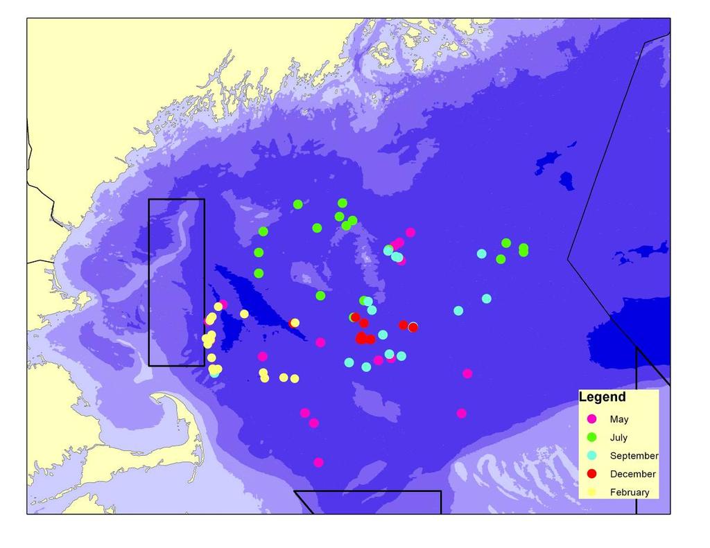 FIGURE 1. Location of tows identified by trip and season The total catch of redfish for the entire 25 days of demonstration fishing was 232,38 lbs.