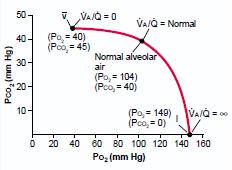 Normally at the tip of the lung, VA/Q is (2.5) times normal (phys. dead space), while at the base, it is (0.6) times normal (phys. shunt).