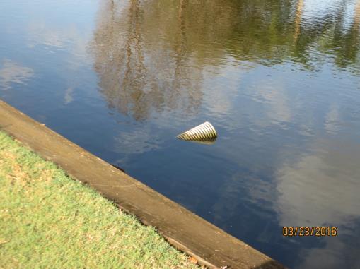 f. Drain Pipes: Two drainage pipes in Lake 24 are floating up.