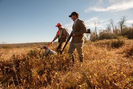 Hunting Guided Hunting Let our expert guides take you on a grouse, chucker, spring gobbler or whitetail deer hunt. Seasons are observed, as are bag limits and state licensing requirements.