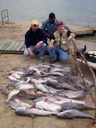 BLUE CATFISH RODS GEAR UP FOR BLUE CATFISH Blue Catfish rods can be broken down into two categories. Rods for big trophy blue catfish Rods for every day one to ten pound catfish or box fish.
