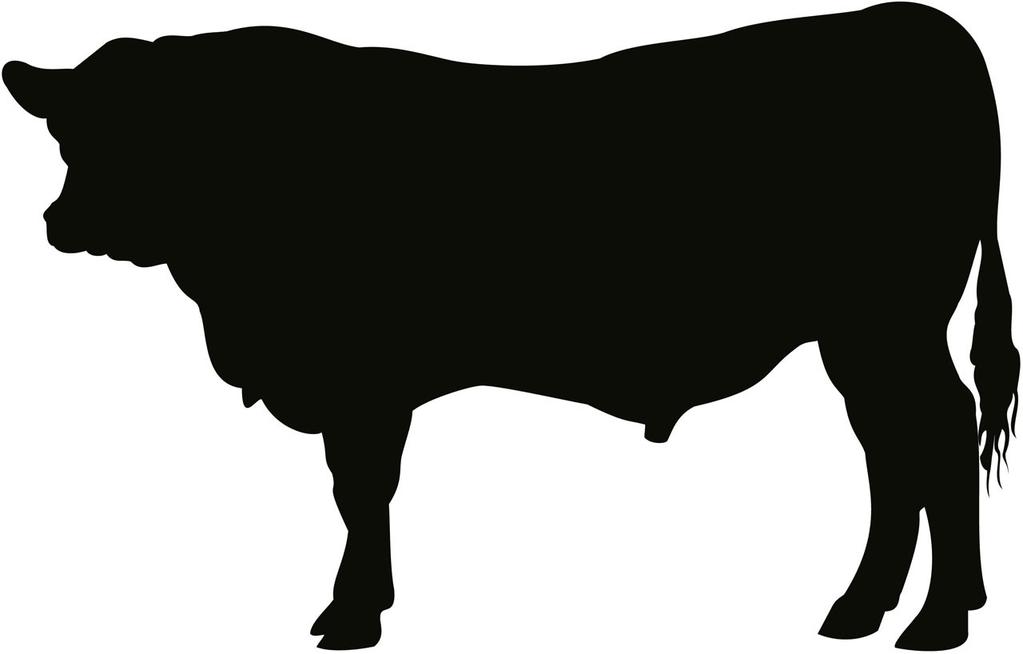 Beef Cattle Classes-Continued 7. Cow/Calf Pair: Cows must be lactating. Calves must be at side and under 240 days of age on day of show. Calf may be shown in individual class in registered separately.